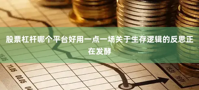 股票杠杆哪个平台好用一点一场关于生存逻辑的反思正在发酵
