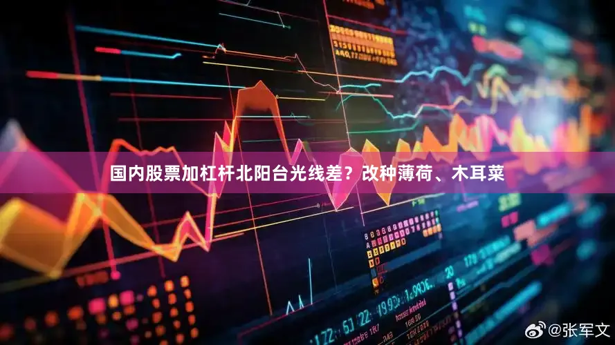 国内股票加杠杆北阳台光线差？改种薄荷、木耳菜