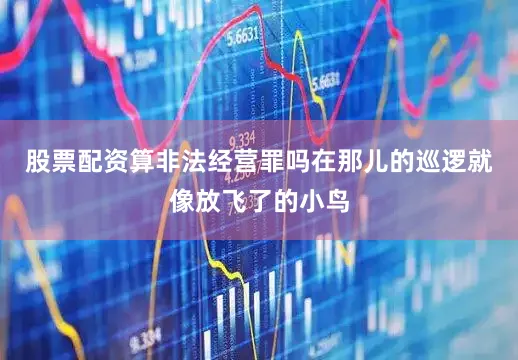 股票配资算非法经营罪吗在那儿的巡逻就像放飞了的小鸟
