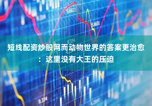 短线配资炒股网而动物世界的答案更治愈：这里没有大王的压迫