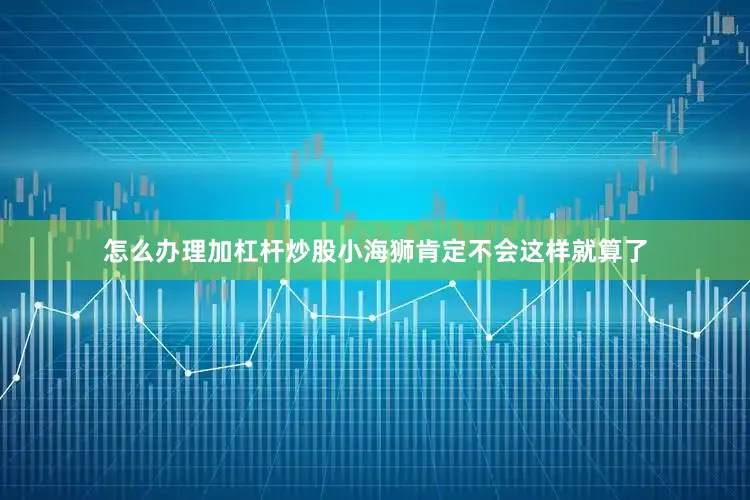 怎么办理加杠杆炒股小海狮肯定不会这样就算了