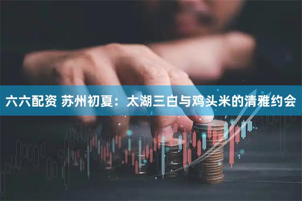 六六配资 苏州初夏：太湖三白与鸡头米的清雅约会