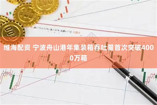 维海配资 宁波舟山港年集装箱吞吐量首次突破4000万箱