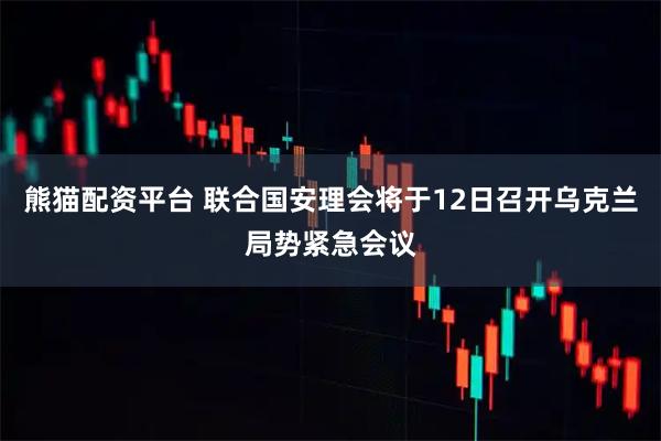 熊猫配资平台 联合国安理会将于12日召开乌克兰局势紧急会议