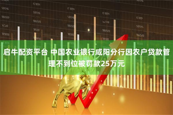 启牛配资平台 中国农业银行咸阳分行因农户贷款管理不到位被罚款25万元
